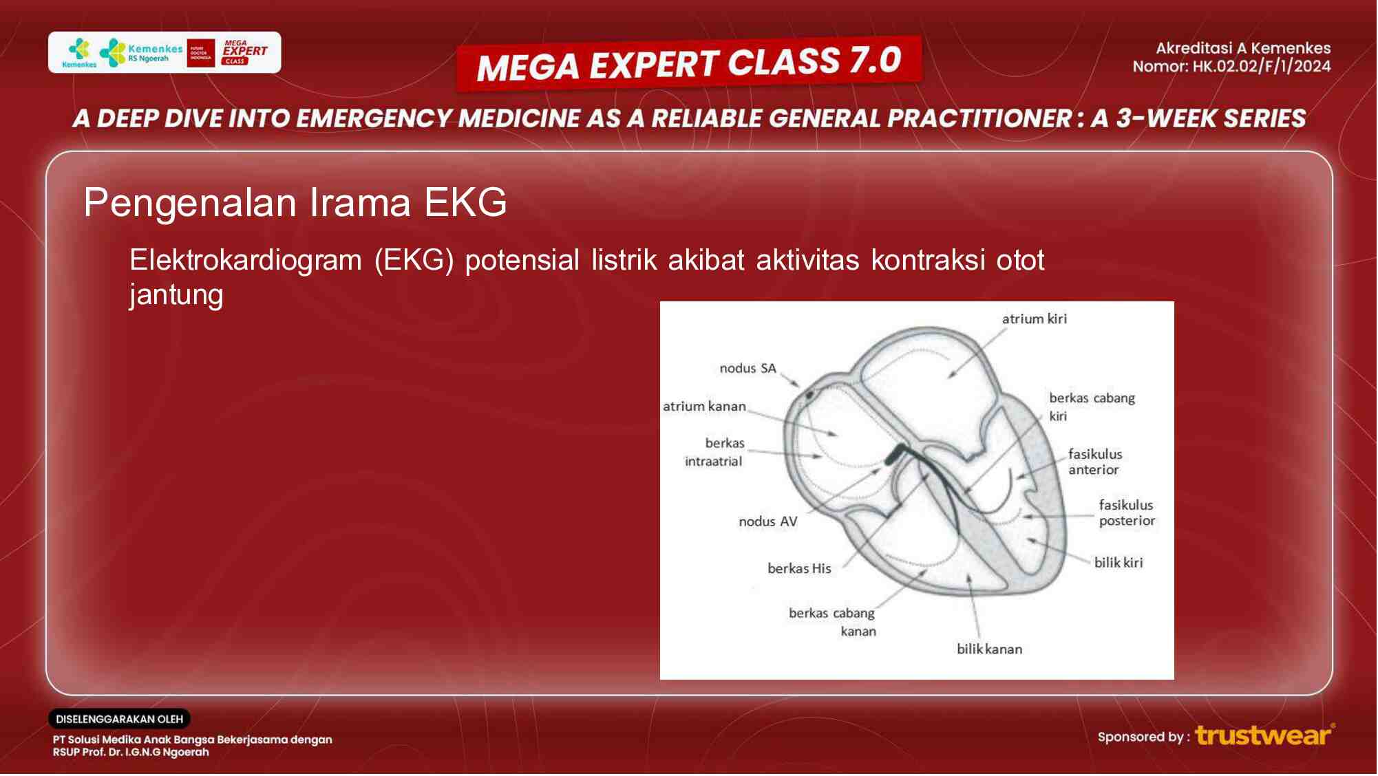 [week-1]-mastering-the-rhythm-a-hands-on-workshop-on-ekg-interpretation-835